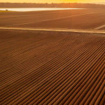 Будущее Органического Фермерства