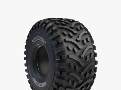 Шина пневматична 22X10-9 (22X10.00-9) 4PR BKT AT 108 39J TL