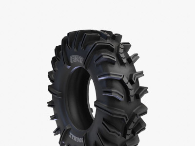 Шина пневматична AT30X10-14 6PR BKT BOGMAX 58F TL